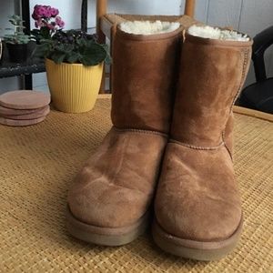 classic short ugg boots